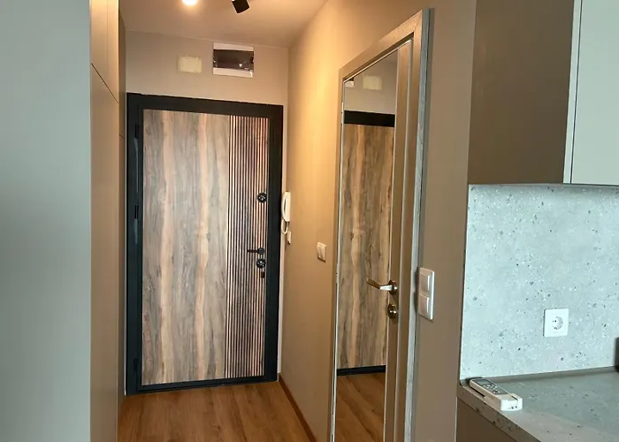 студио феникс 公寓 *